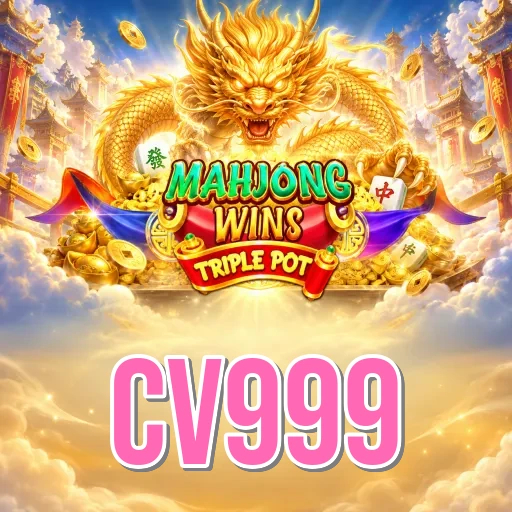 Privacy & Security cv999